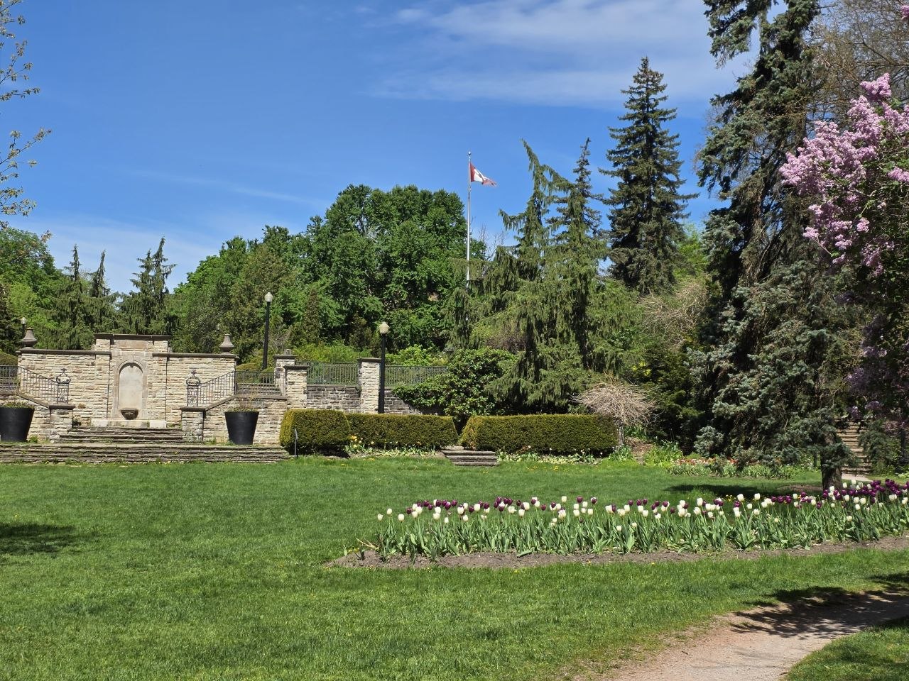 Wanless Park